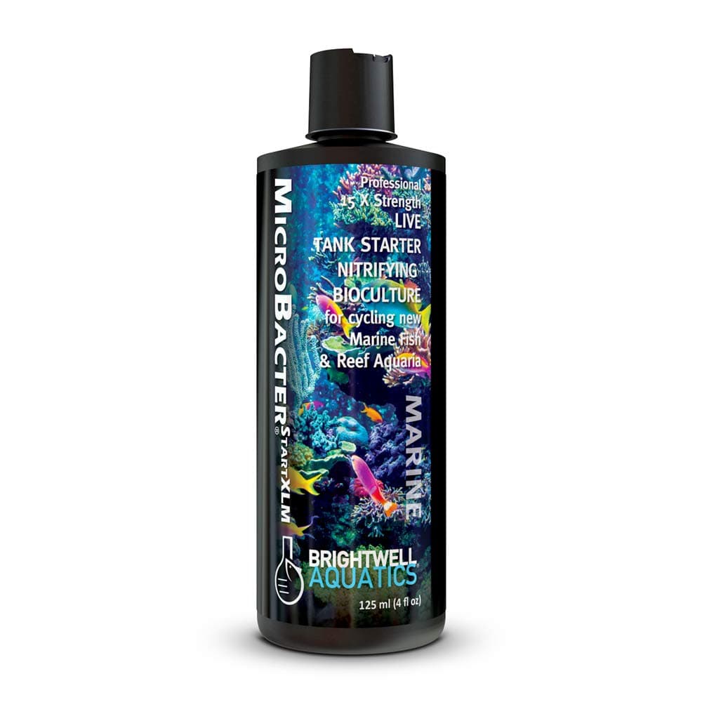 Brightwell Aquatics MicroBacter Start XLM - Concentrated Freshwater Nitrifying Bacteria - Quick Start Fish Tank Starter, Lift Microbe Levels & Water Filtering - Aquarium Water Treatments, 4.22 fl oz