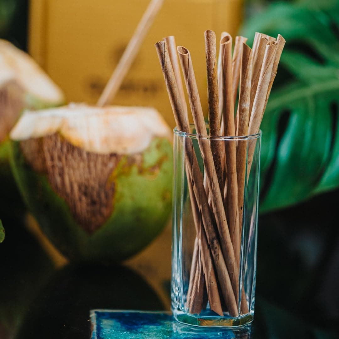 Disposable Straw | Coconut Leaf Straw | Natural - Plant-Based Compostable Organic Drinking Straws Eco-Friendly Plastic Free Sustainable 8-Inch Straw Pipe Pack of 100