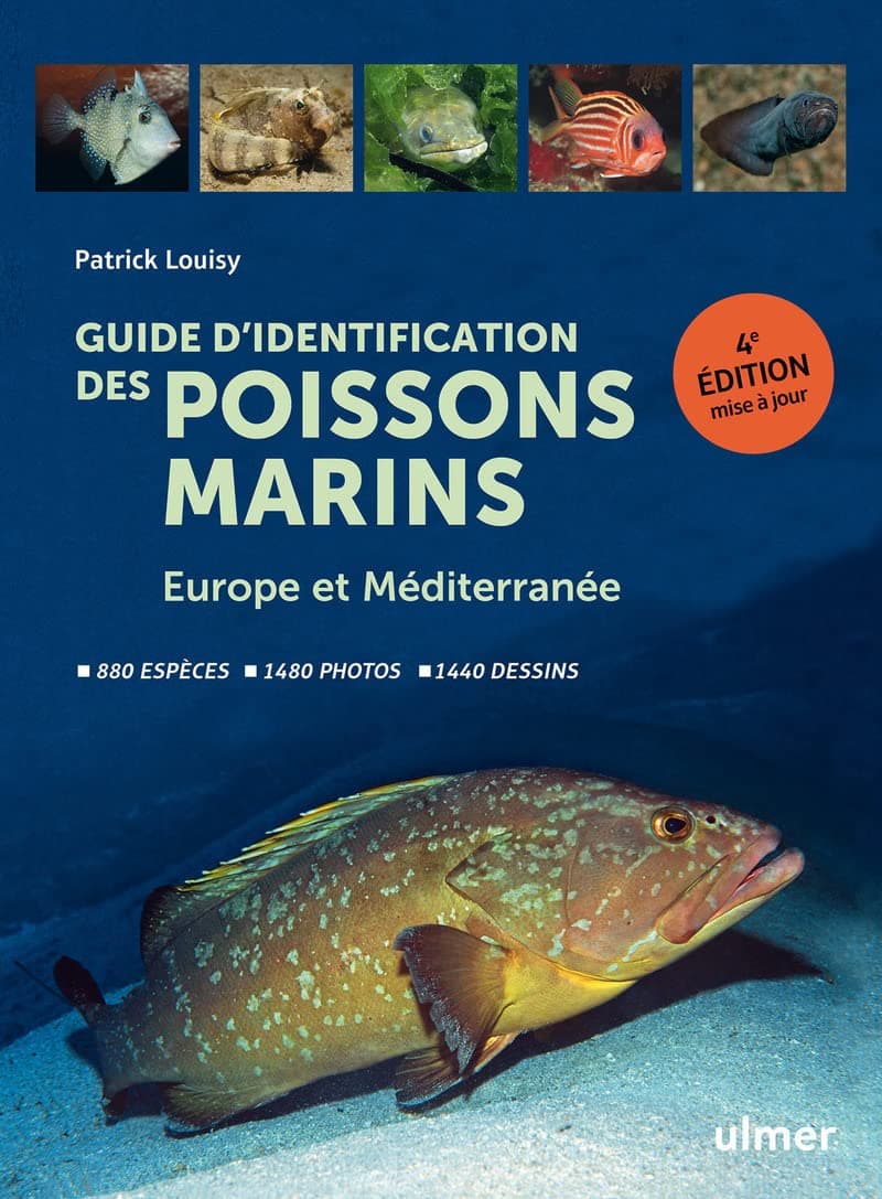 Guide d'identification des poissons marins - Europ