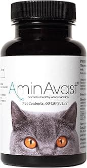 RenAvast Kidney Support for Cats (60 capsules)