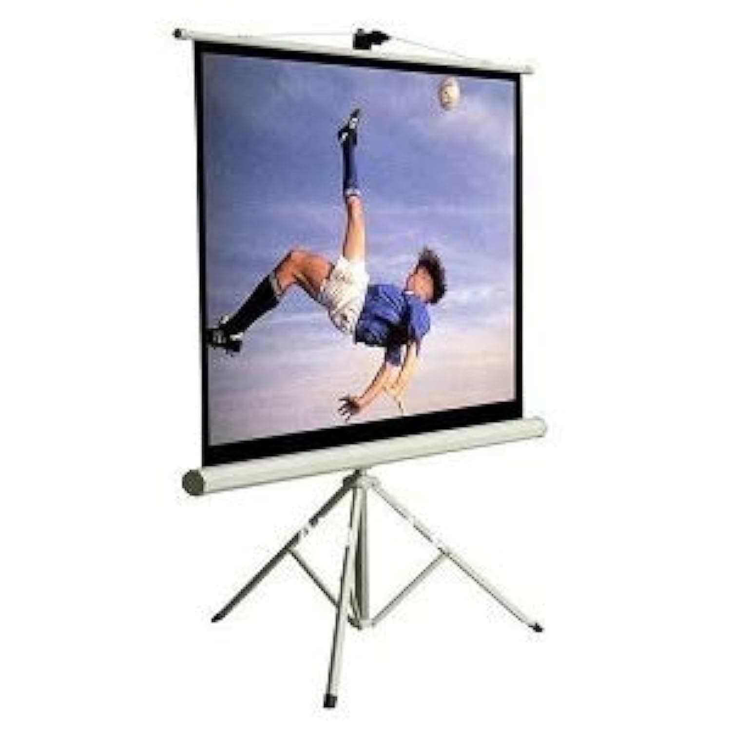iView Tripod Projector Screen (240x240cm)