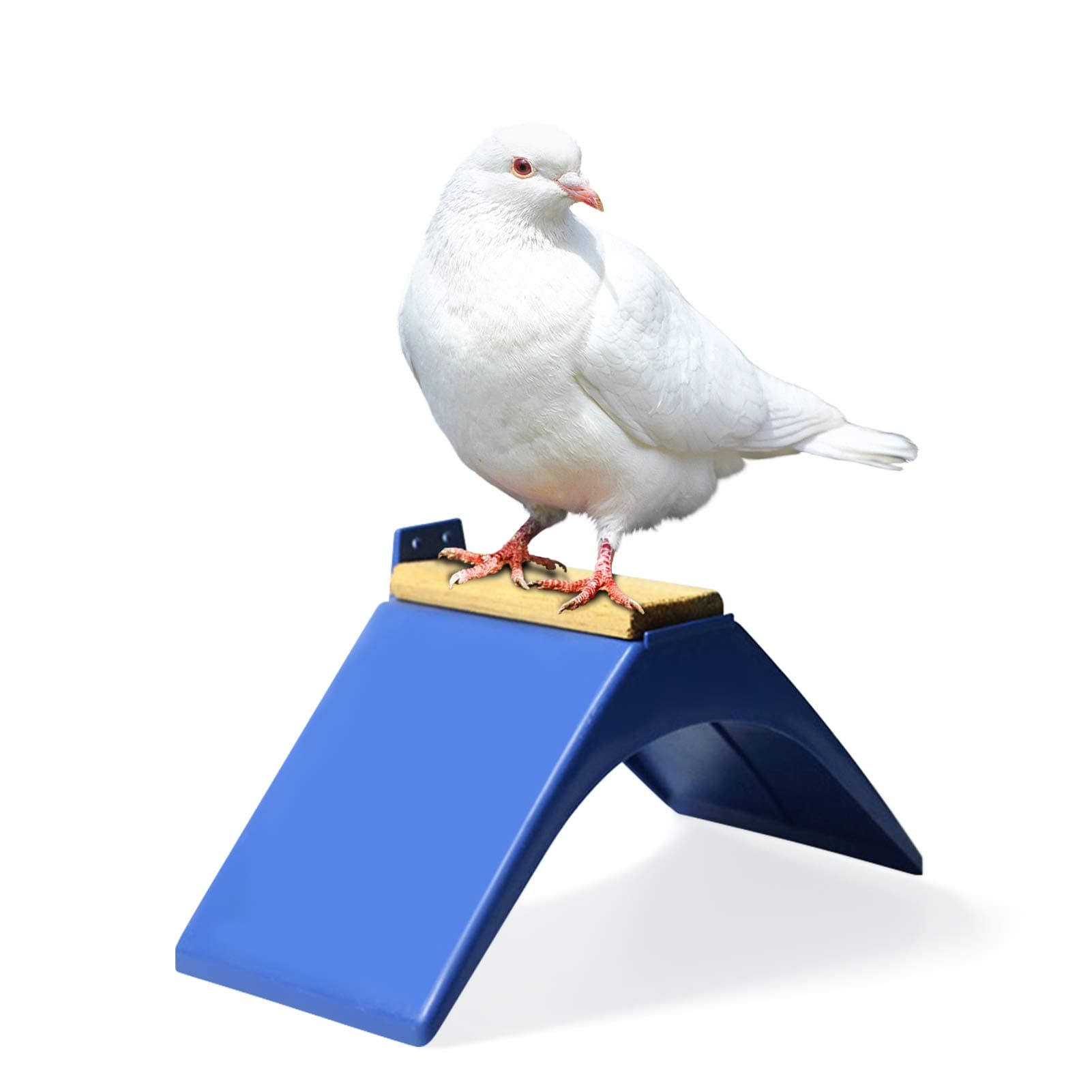 eon Rest Stand 10 Pcs eon Perches Frame Grill Dwelling Roost Durable Plastic Birds Supplies