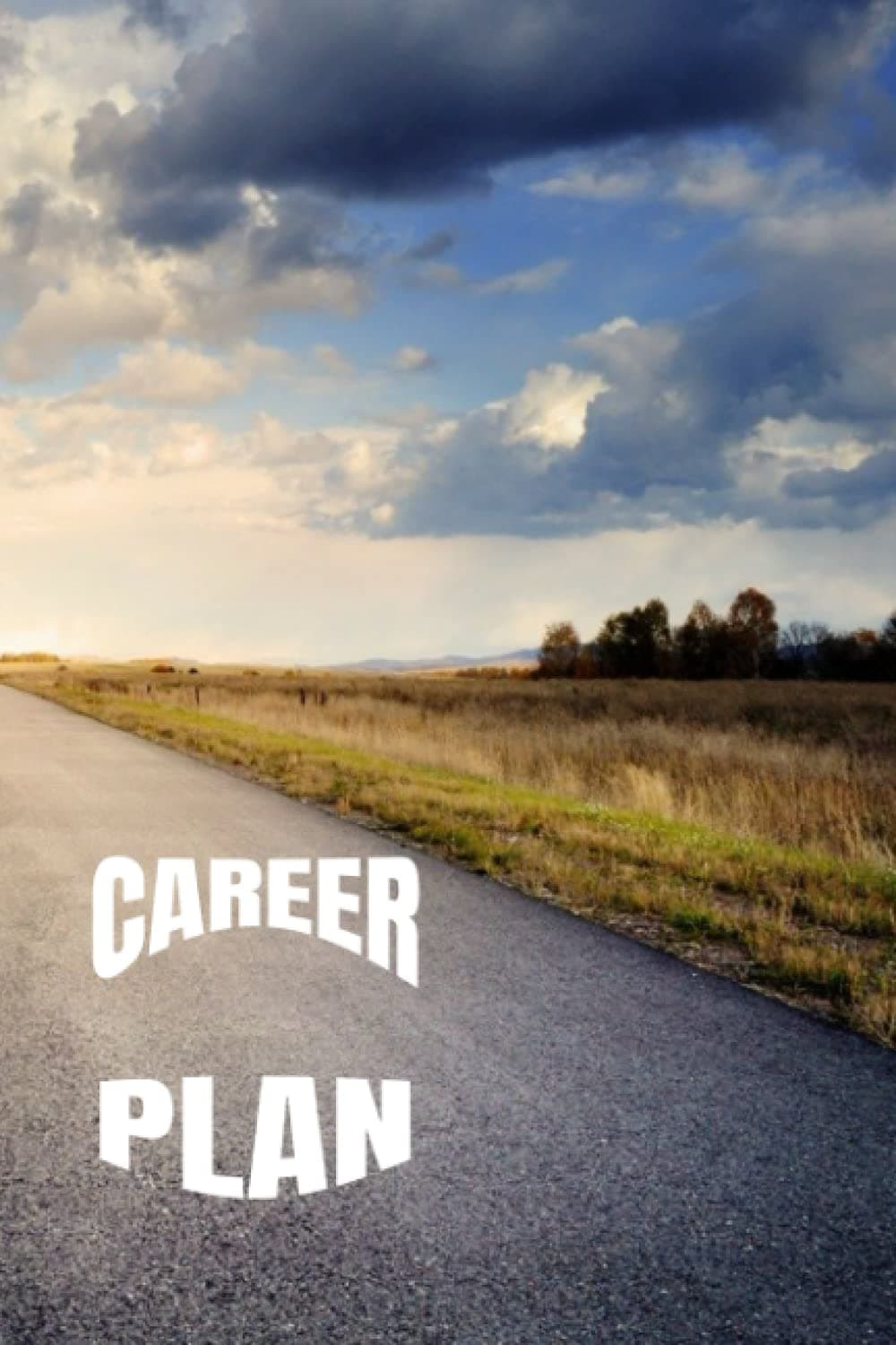 Career Planner Paperback – Large Print, 23 August 2021