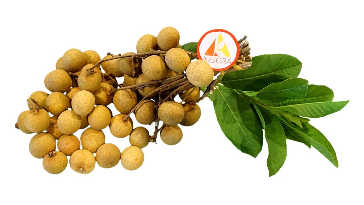 KEJORA FRESH LONGAN FRUIT (2 lb)