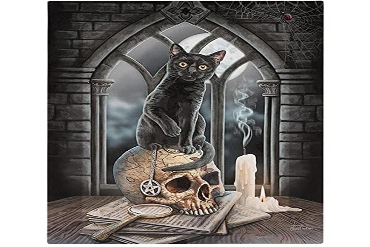 Lisa ParkerLP_33138 Canvas, Black