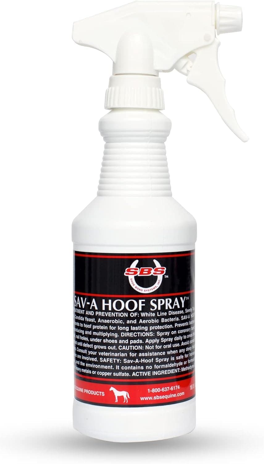 SBS Equine Spray | Hoof Treatment Provides Antiseptic Barrier Against Infection | Fights Hoof iIlness | Long-Lasting (16 Fluid Oz Spray)