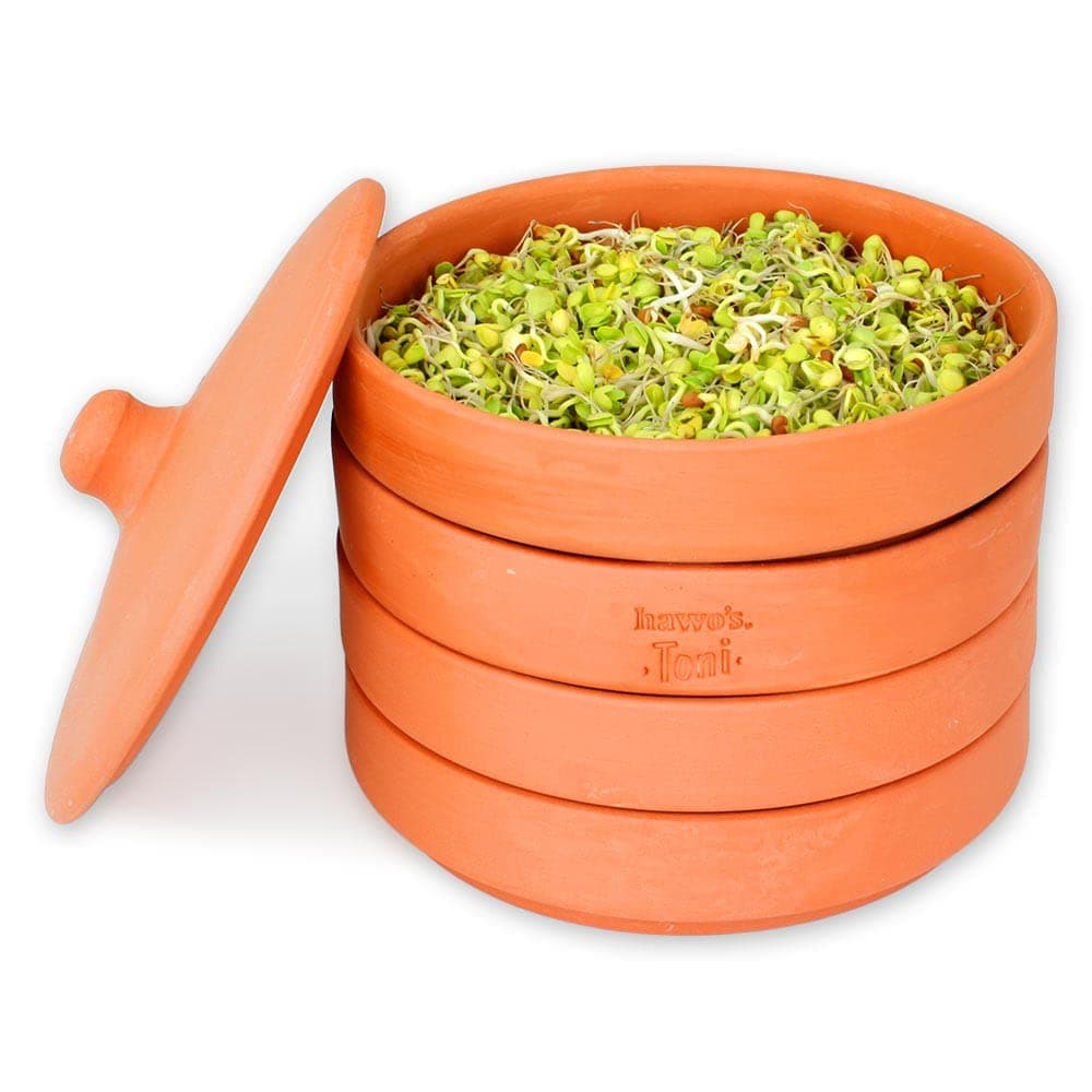 hawos TO009 Toni Sprouter, Clay