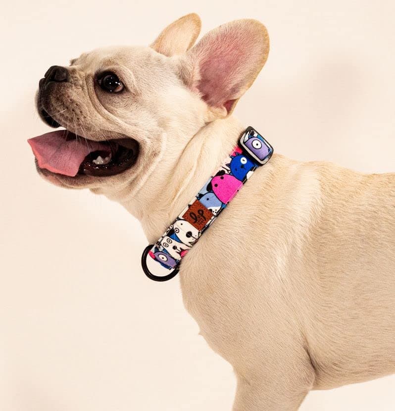 Lana Paws Polyester Poly Canvas Googly Eyes Durable Fabric Dog Collar Belt For Medium Dogs_Pack Of 1,Blue, 45.7L x 2.5W Centimeters