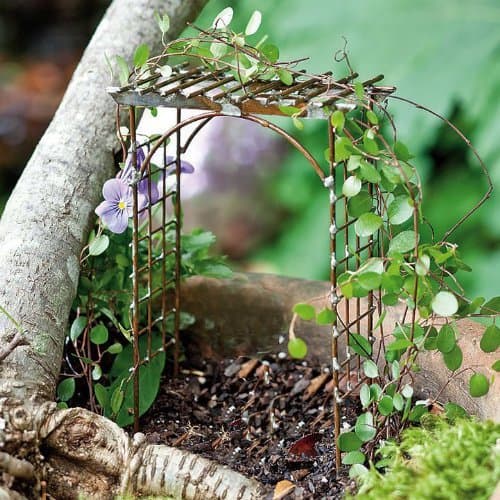 Fairy Garden Trellis Arbor