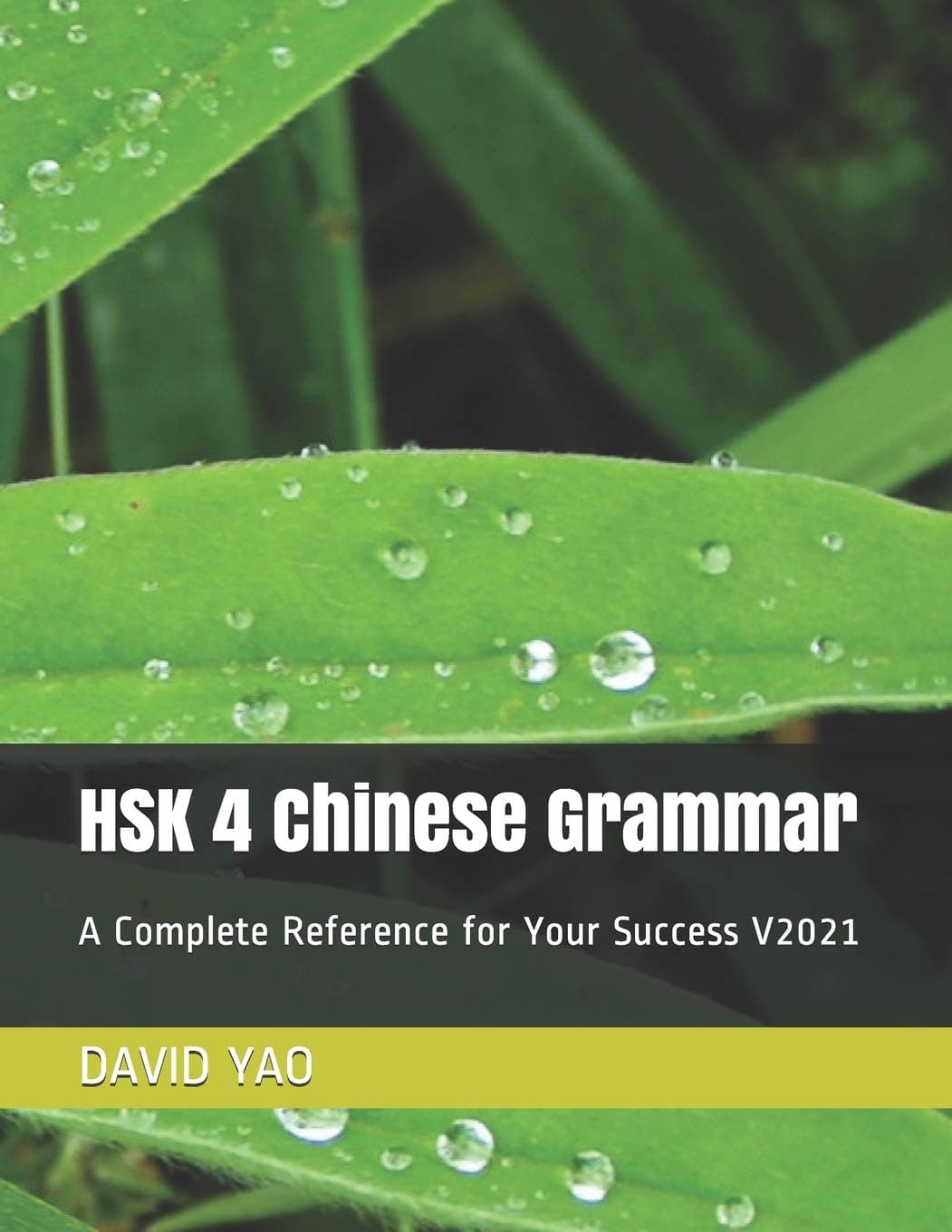 HSK 4 Chinese Grammar: A Complete Reference for Your Success V2021: 8