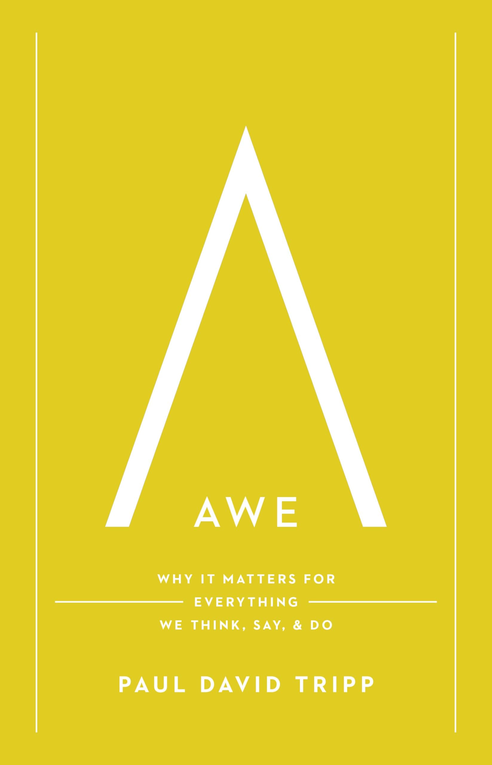 Awe: Why It Matters for Everything We Think, Say, and Do