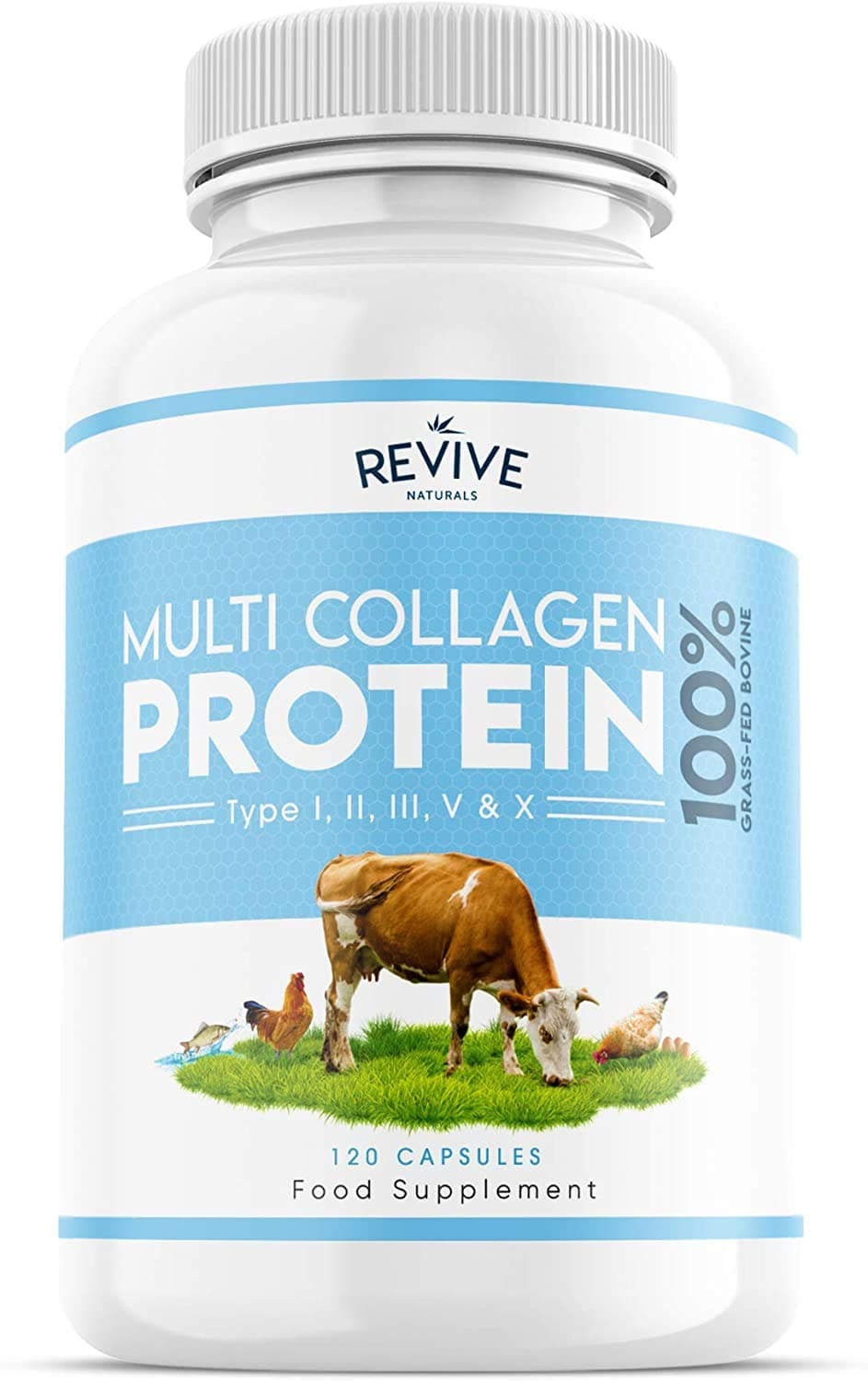 Revive Naturals Multi Collagen Protein Capsules - Types I, II, III, V & X - Hydrolysed Grass Fed Bovine, Wild Caught Marine & Free-Range Chicken, with Hyaluronic Acid & Vitamin C, 120 Capsules