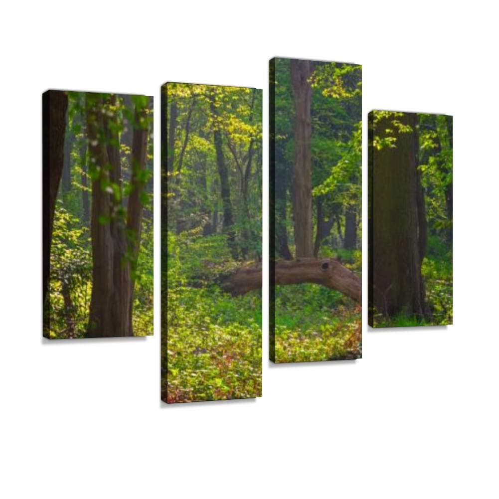 4 Panel Canvas Pictures Fallen tree trunk in Highgate Wood London Home Decor Gifts Canvas Wall Art for your Living Room