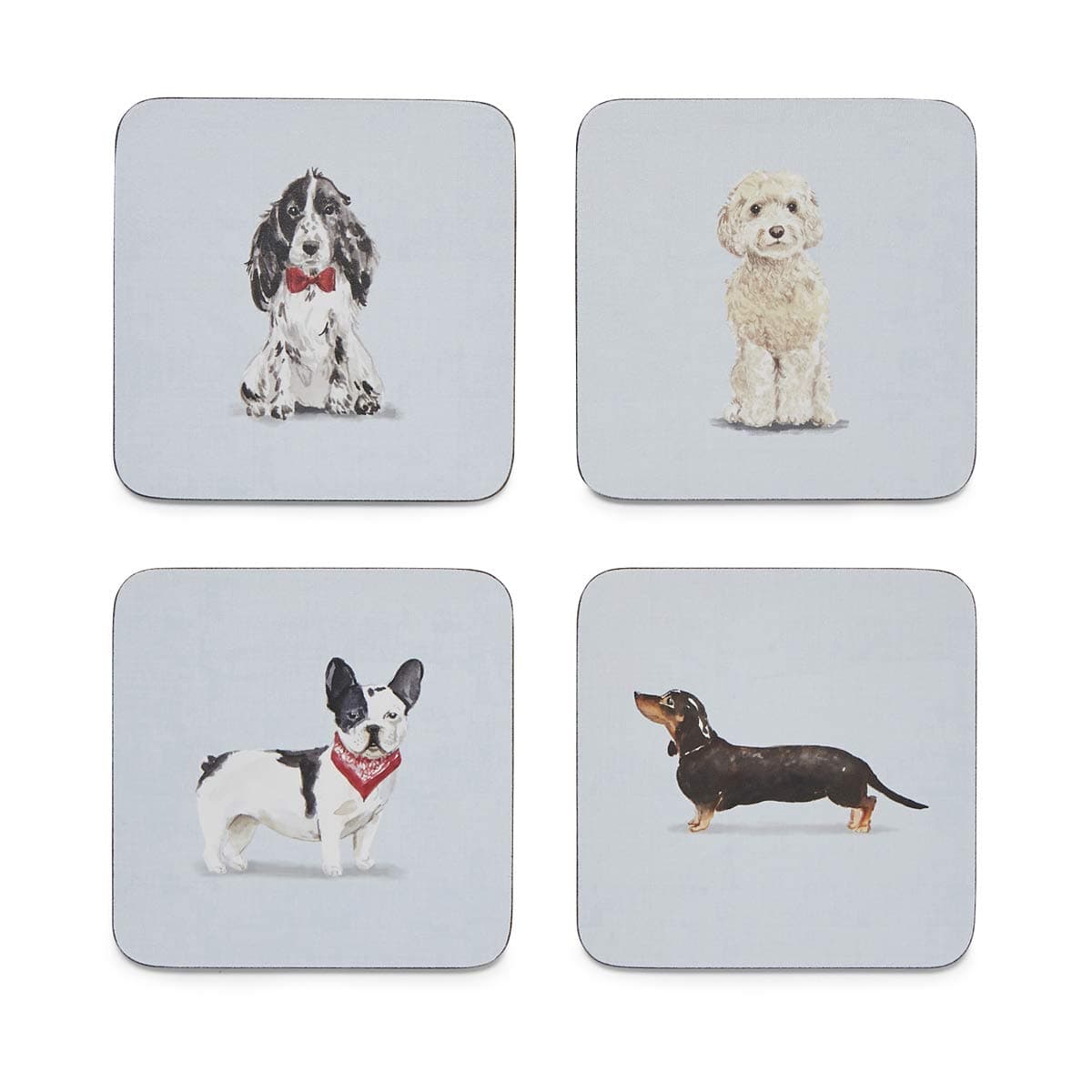 Pack of 4 Coasters Curious Dogs Design