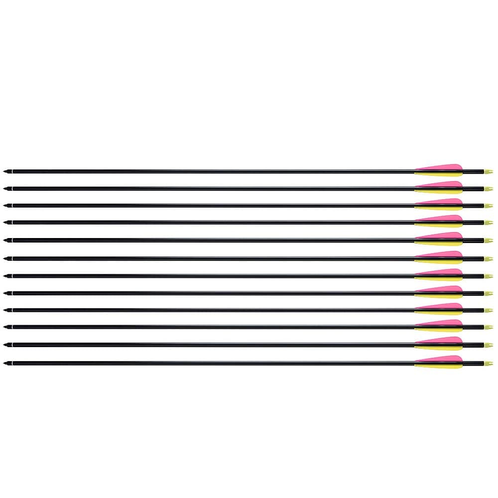 NPoint 12 pieces 32-inch Premium Archery Arrows with Changeable Point Tips. Nocks, Fletched Series 800 Fiberglass Arrow for Hunting or Target Practice with Glass Fiber Shaft for recurve, compound, and long bows