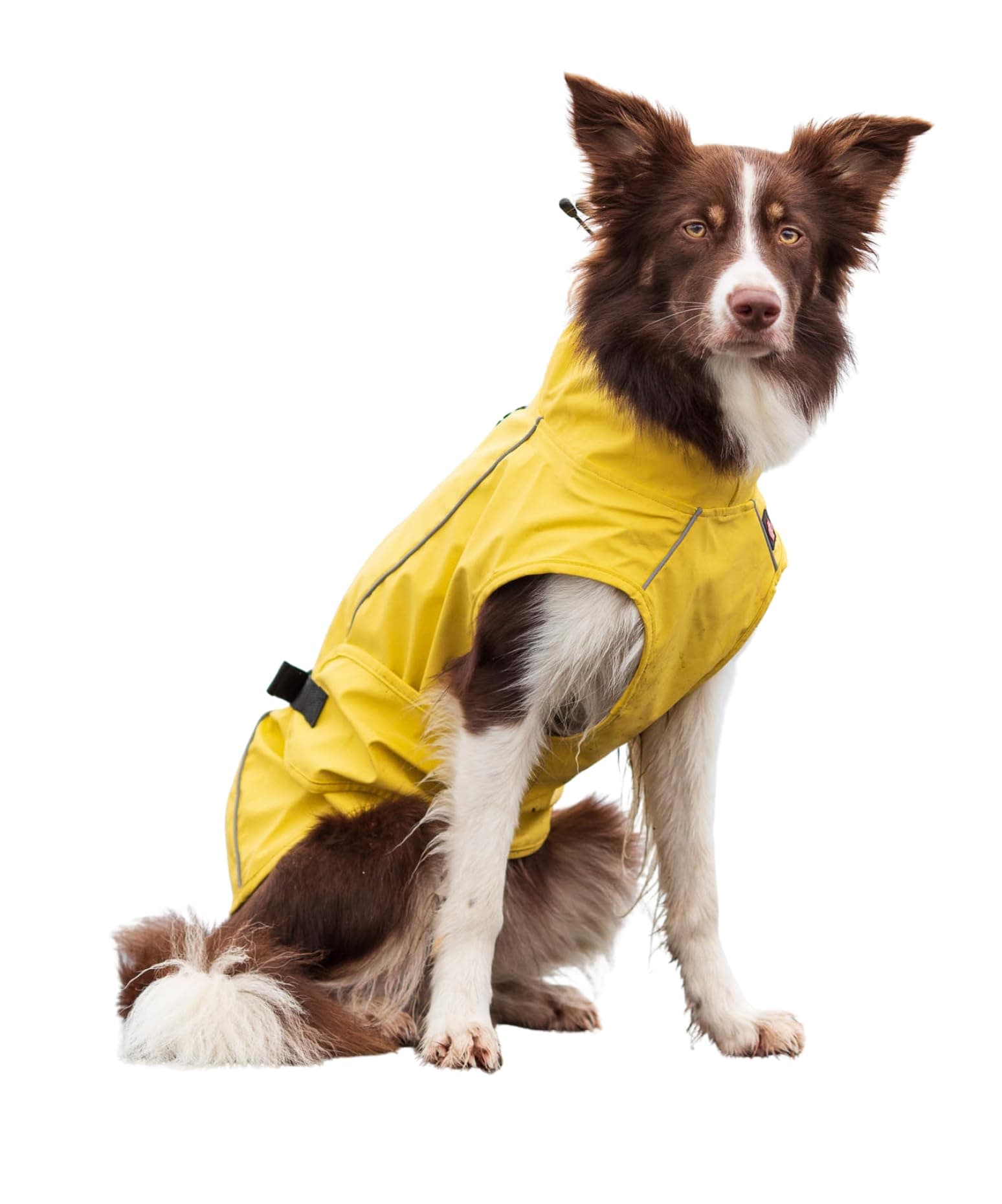 Trixie 67978 Vimy Raincoat, 55 Cm, Yellow