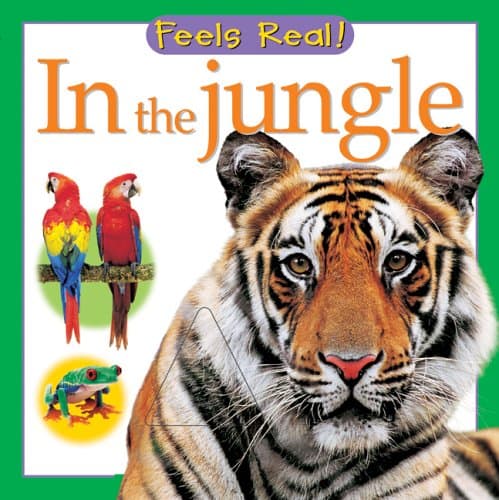 In the Jungle (Feels Real Books)