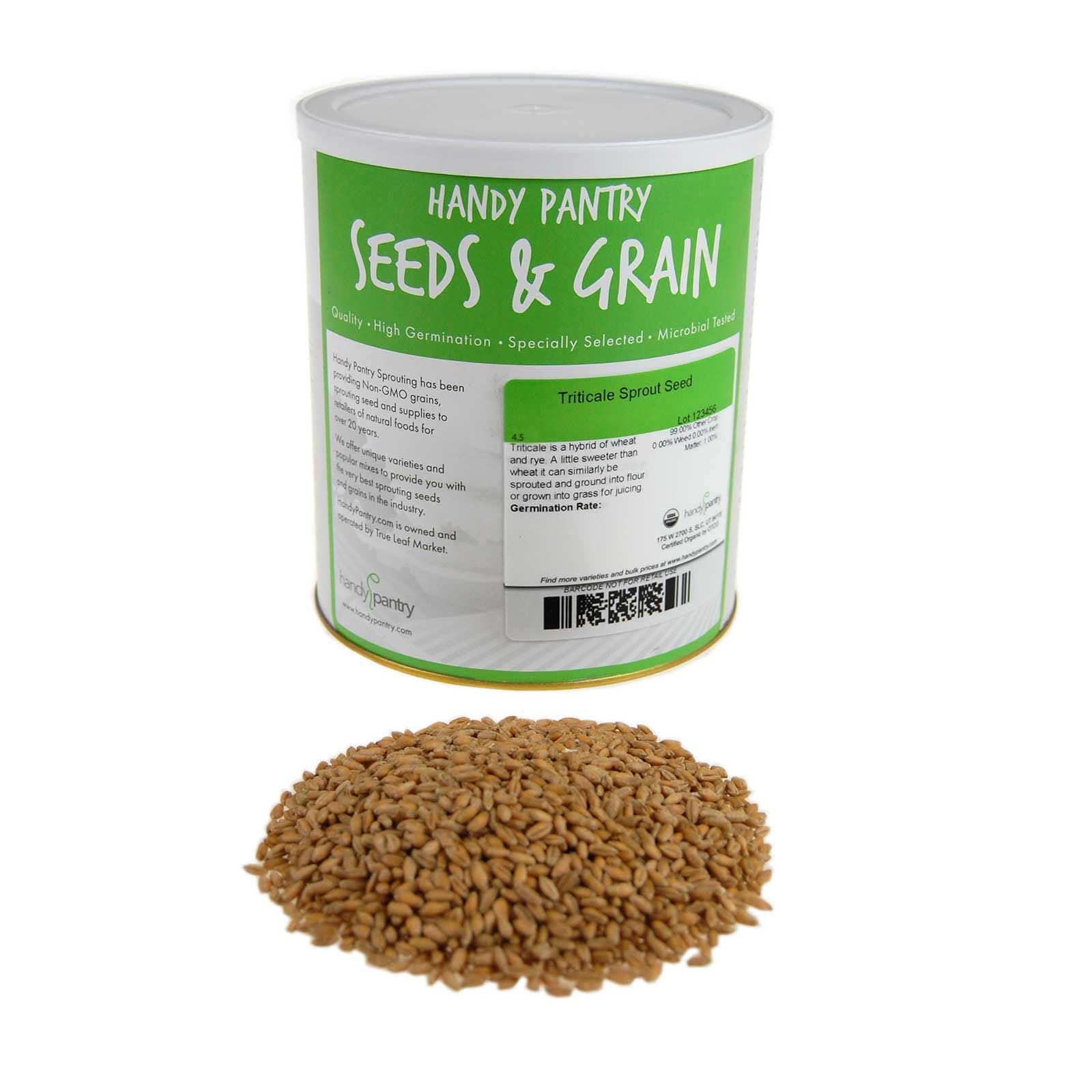 Organic Triticale Seeds- 4.5 Lbs- Triticale Grain Seed: Sprouting Sprouts, Cooking, Grind Flour, Food Storage & More