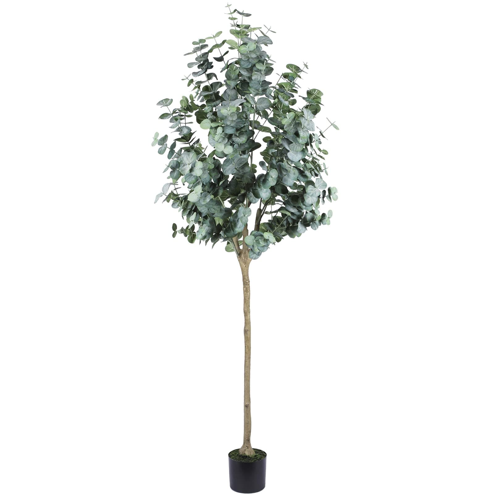 Artificial Eucalyptus Tree 6ft（71"） Tall Fake Eucalyptus Plants with 1140 Silver Dollar Leaves Faux Silk Eucalyptus Stems with Planter Artificial Tree for Indoor Outdoor Home Office Shop Decoration