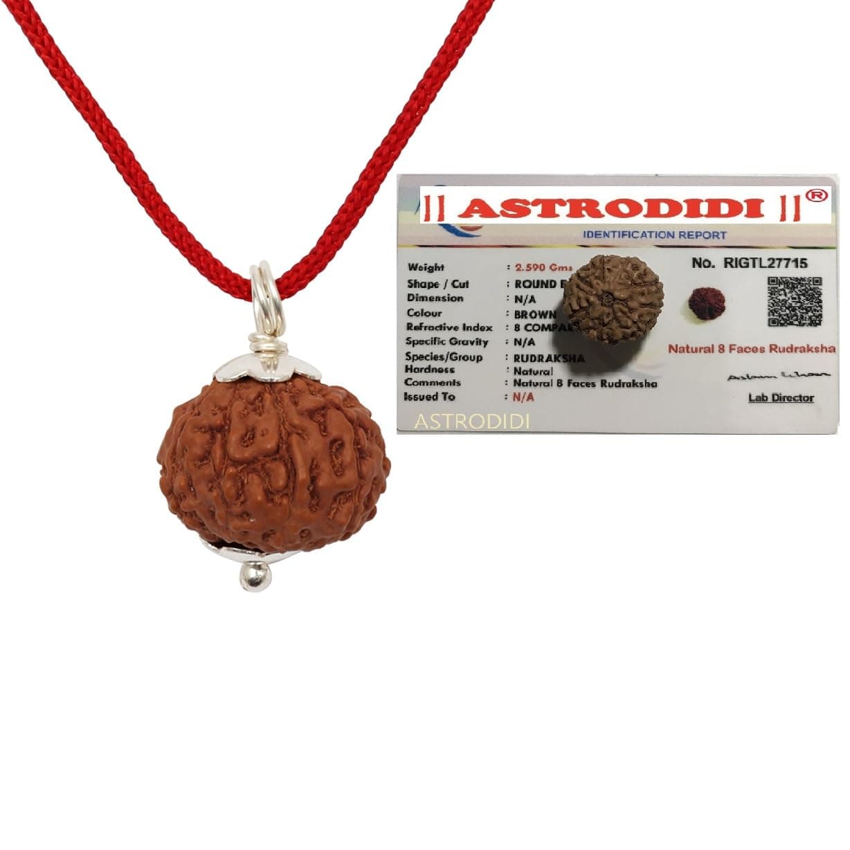 8 Mukhi Rudraksha Original Certified Java Eight Face Small Size Silver Coated Pendant with Lab Report | Unisex Design for Men & Women