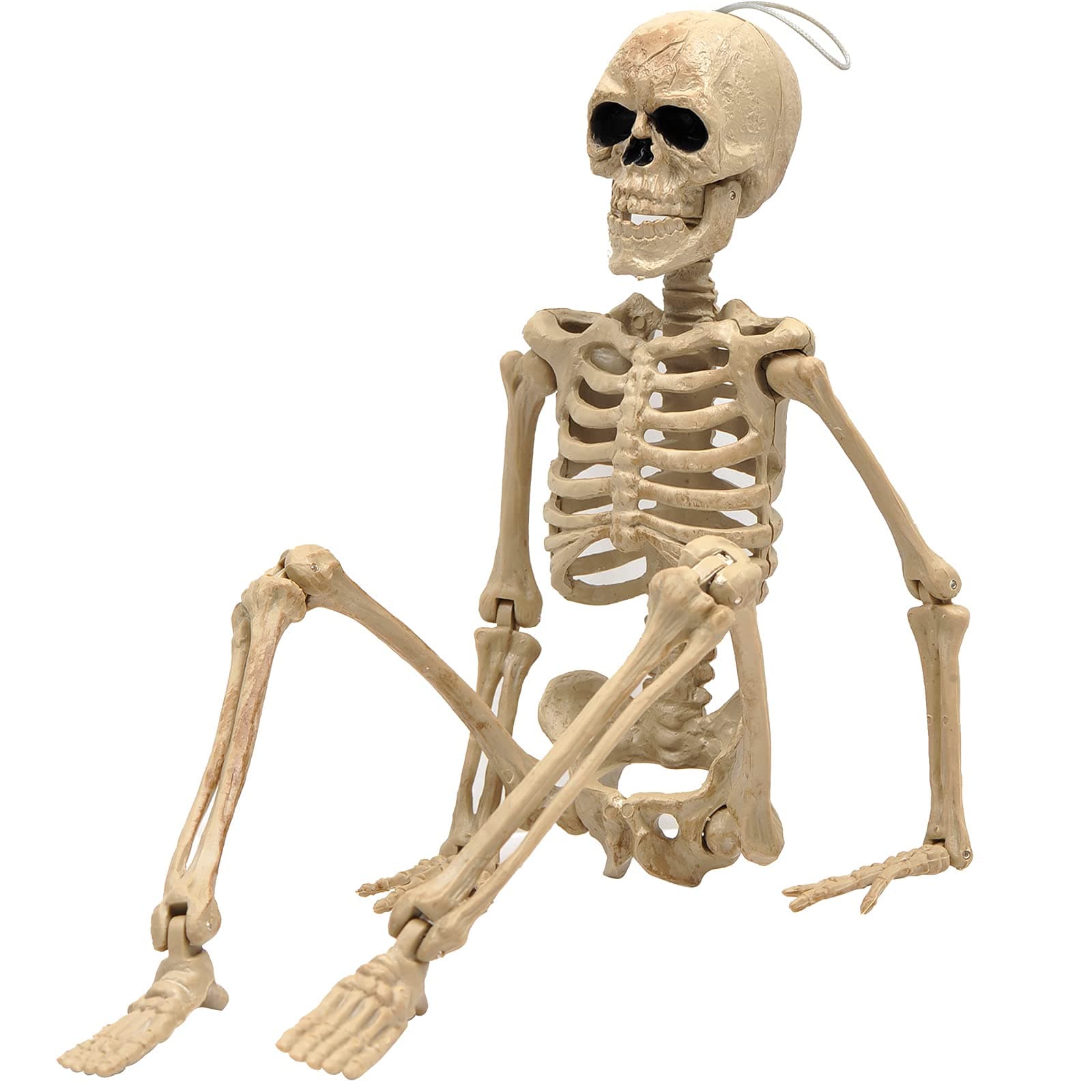 16" Halloween Skeleton,Full Body Skeleton with Posable Movable Joints for Haunted House Props Decorations