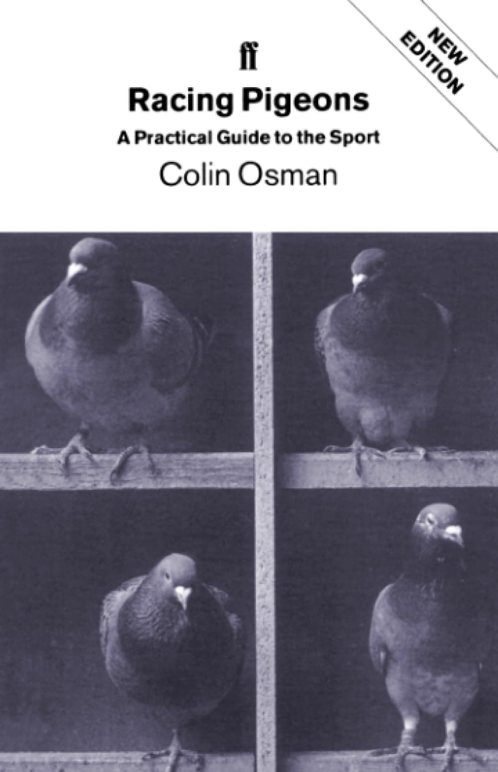 Racing Pigeons Paperback – January 11, 2002
