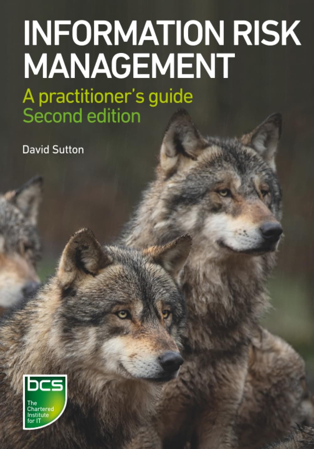 Information Risk Management: A practitioner's guide Paperback – 27 Sept. 2021