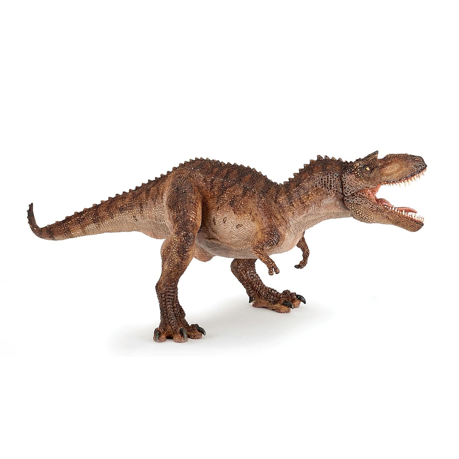 Gorgosaurus, multi (55074)