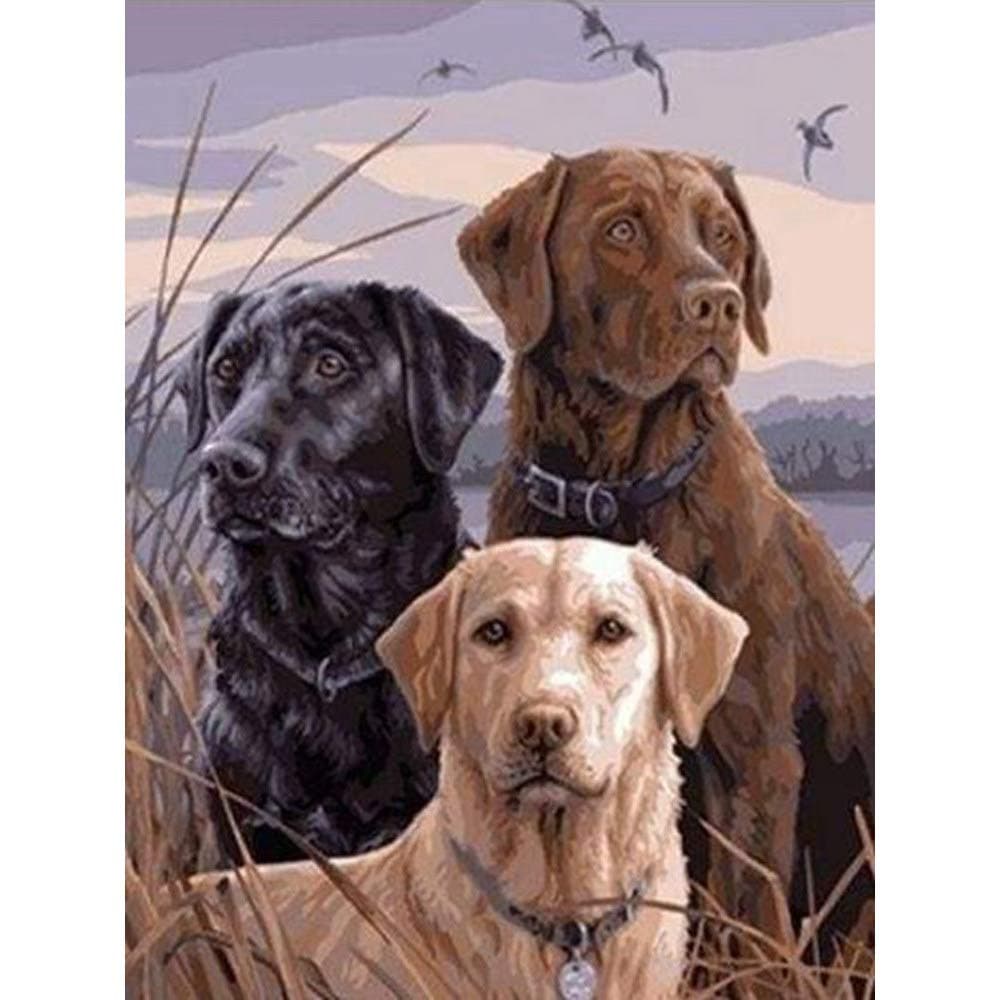 Hi Stone Diamond Painting Full Drill Square 5D DIY Rhinestone Gems Embroidery Arts Craft Adults' Children's Paint-by-Number Kits Cross Stitch for Home Wall Decor, Animal Three Dog -16x12 Inch