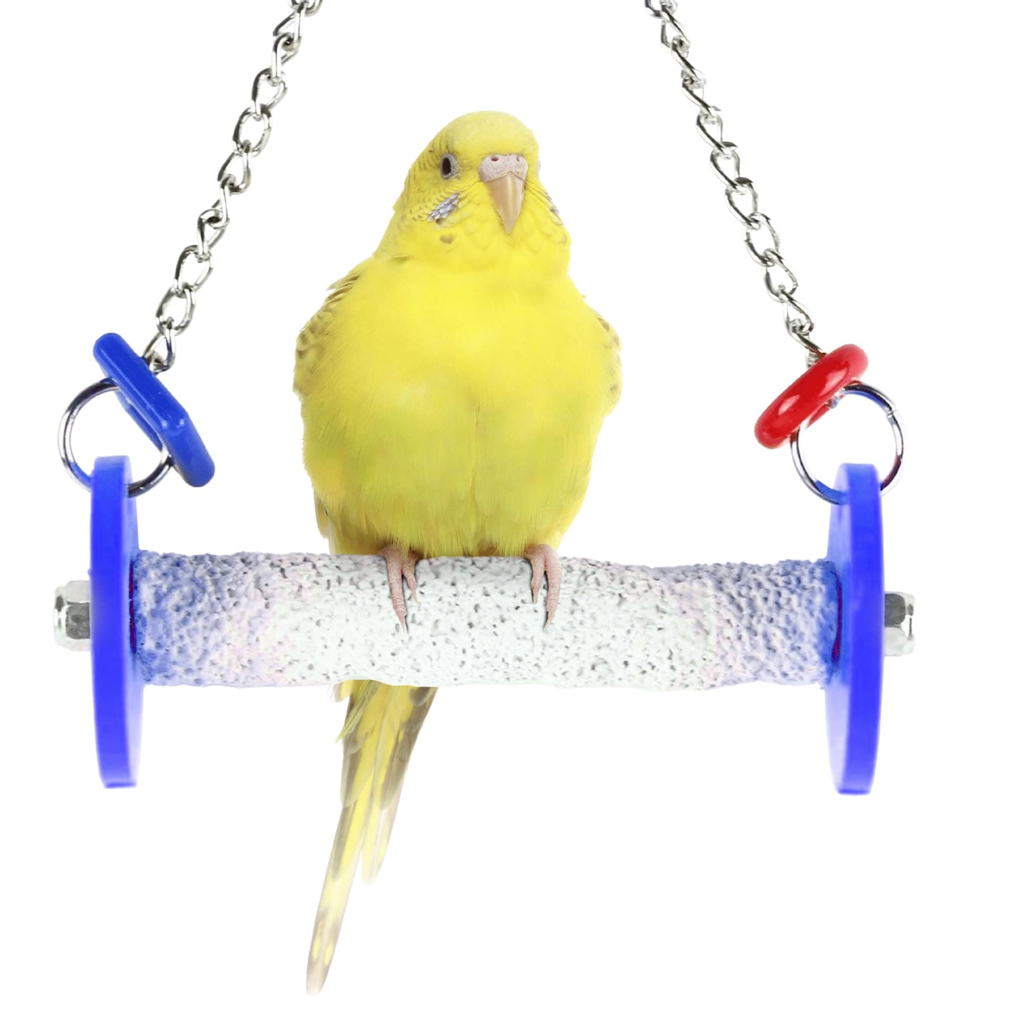Sweet Feet and Beak Roll Swing, X-Small