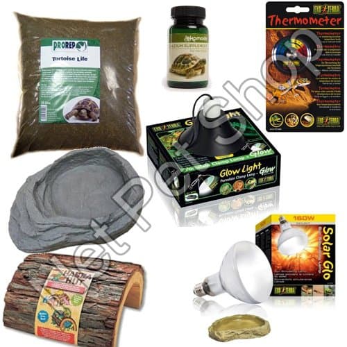 Tortoise Starter Kit With Oak Tortoise Table