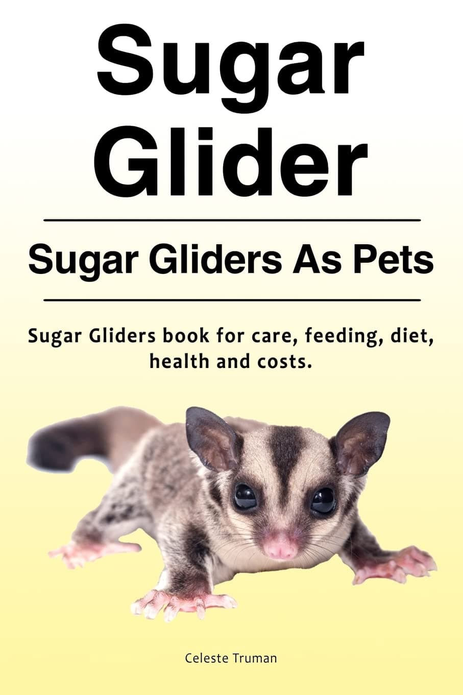 Sugar Glider. Sugar Gliders As Pets. Sugar Gliders