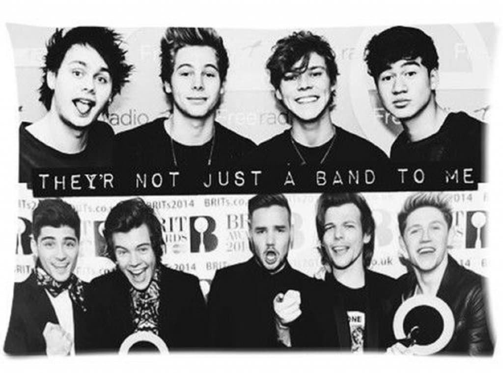 5SOS and One Direction Custom Twin Sides Pillow Case 2030 Inch