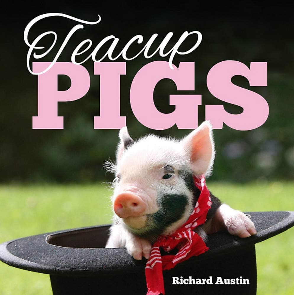 Teacup Pigs Hardcover – October 1, 2015