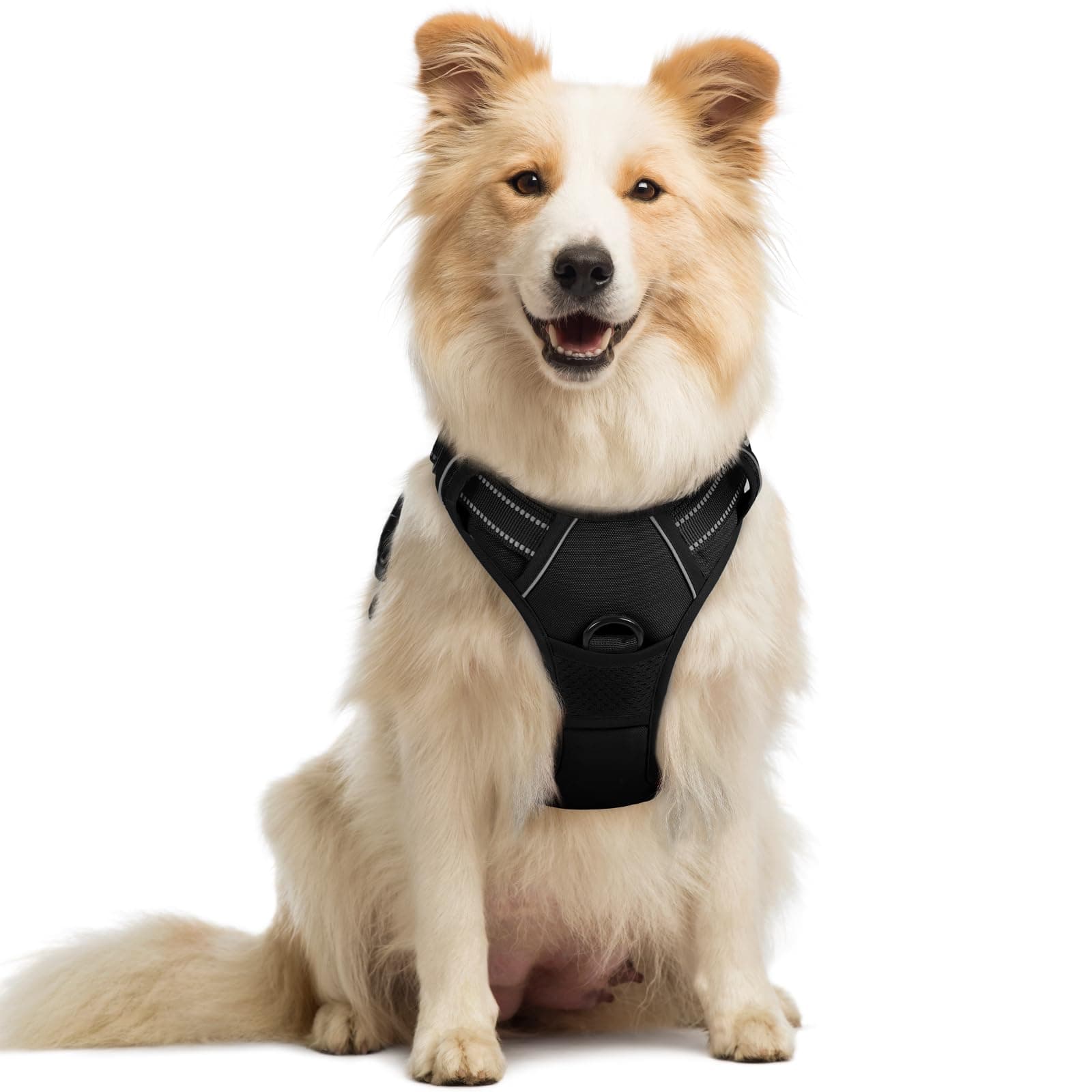 rabbitgoo Dog Harness No Pull with 2 Leash Clips, Adjustable Soft Padded, Reflective Oxford No Choke Pet Vest with Easy Control Handle for Medium Sized Dogs, Black, M