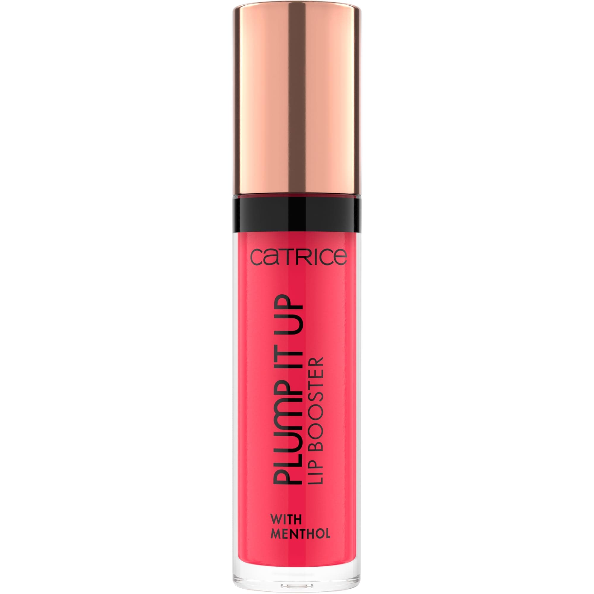Plump It Up Lip Booster 090