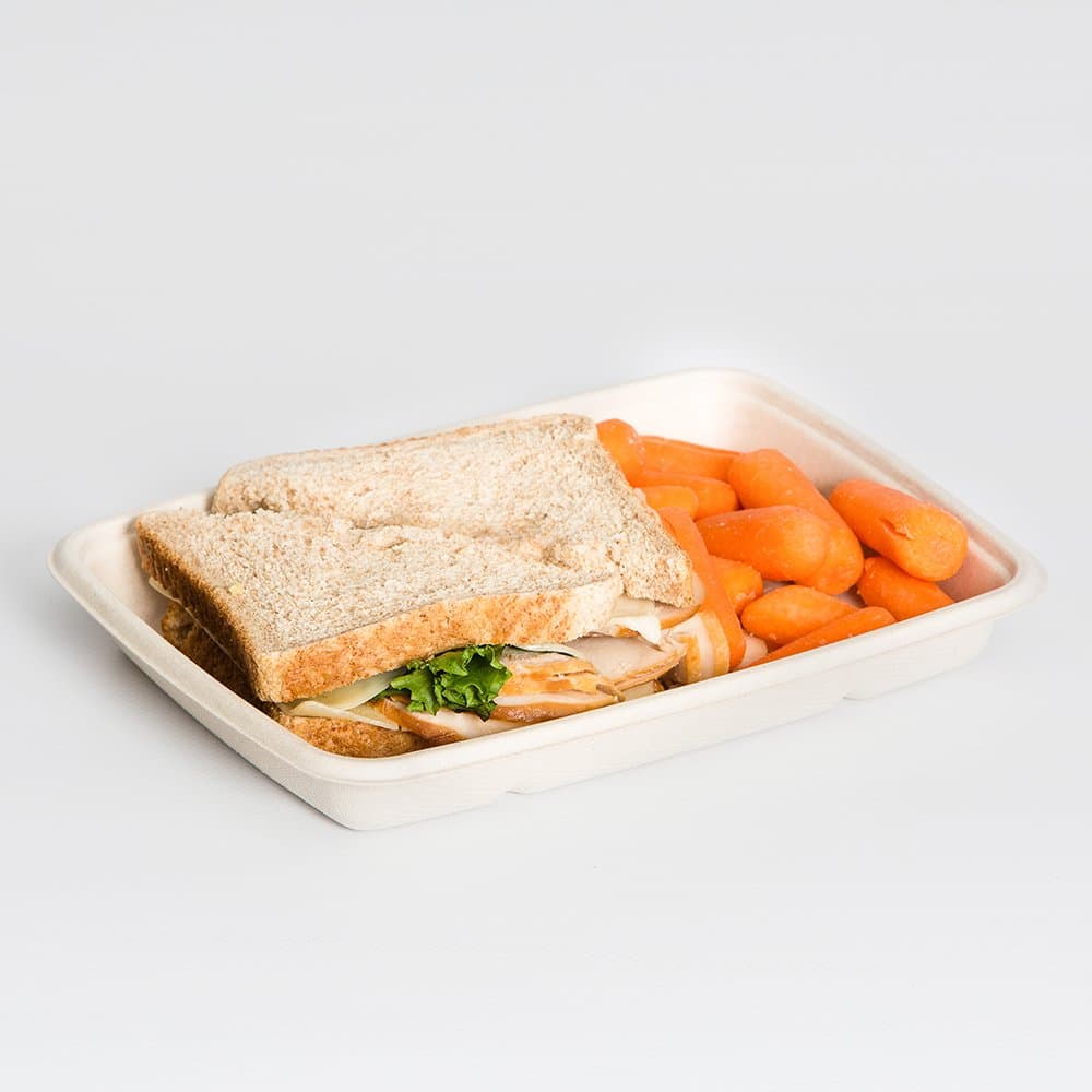 Sabert TerraPac 20 oz. Natural Pulp Fiber, Shallow Rectangle Food Container | 300/Case