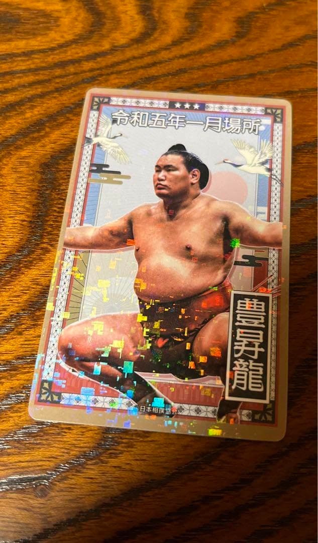 Grand Sumo Card Hoshoryu