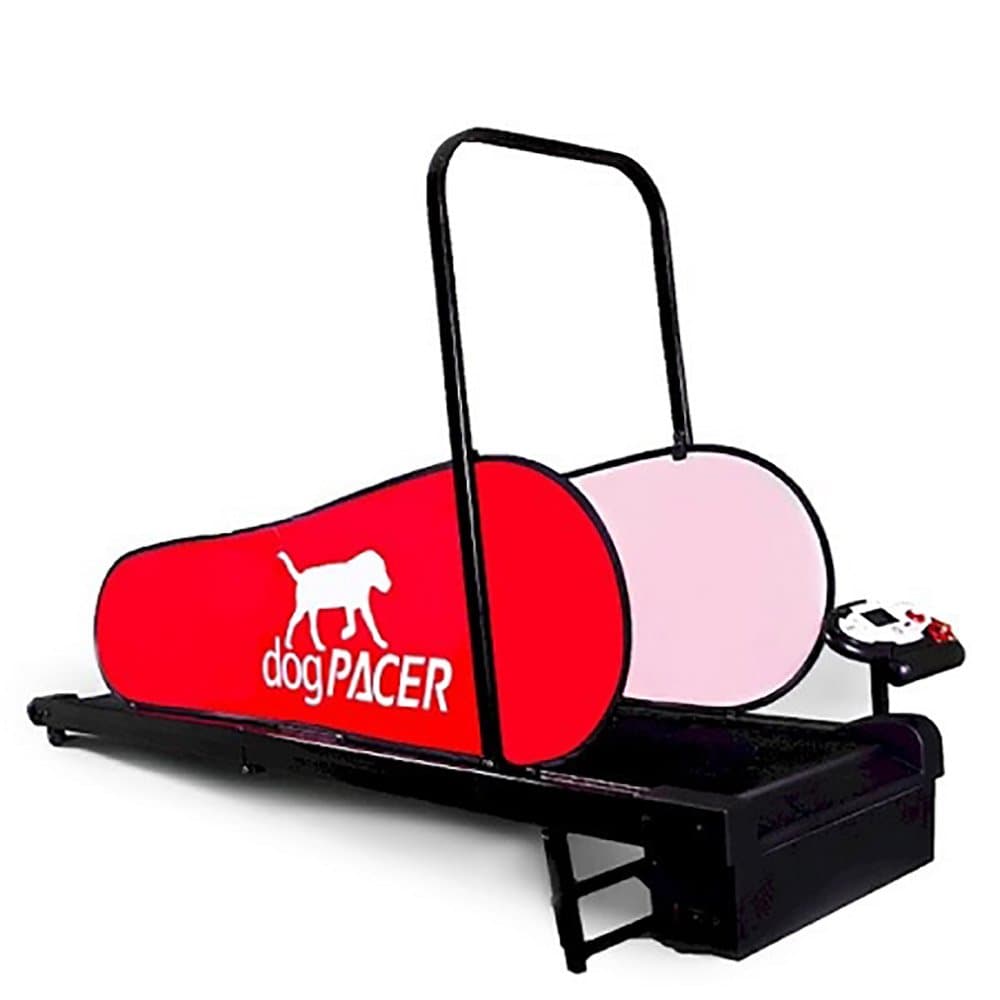 dogPACER MiniPACER Treadmill