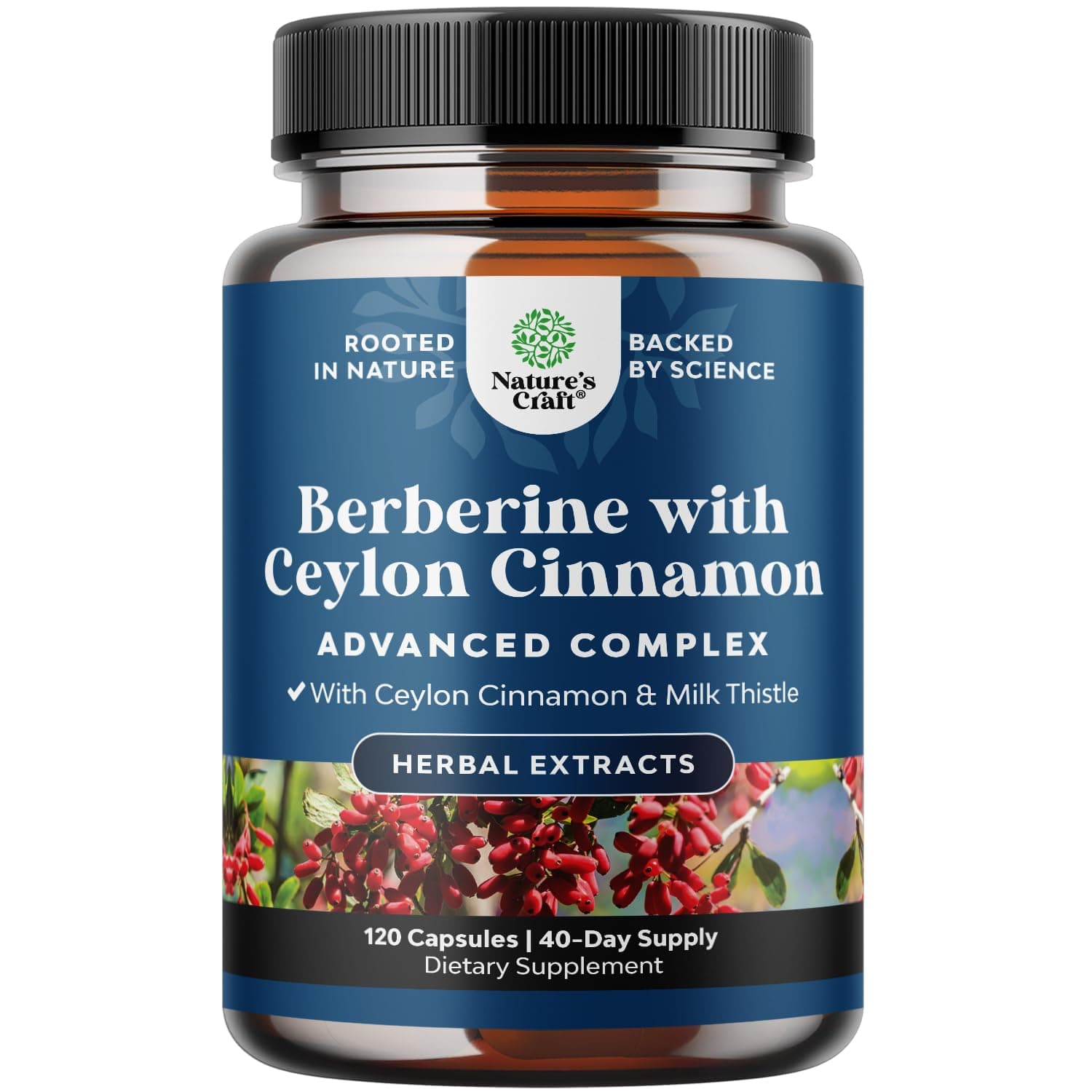 Balancing Berberine Plus 1200mg Per Serving Complex - Antioxidant Berberine with Ceylon Cinnamon Capsules Plus Silymarin Milk Thistle Extract -Active PK for Heart Health and Sugar Support - 120 Count