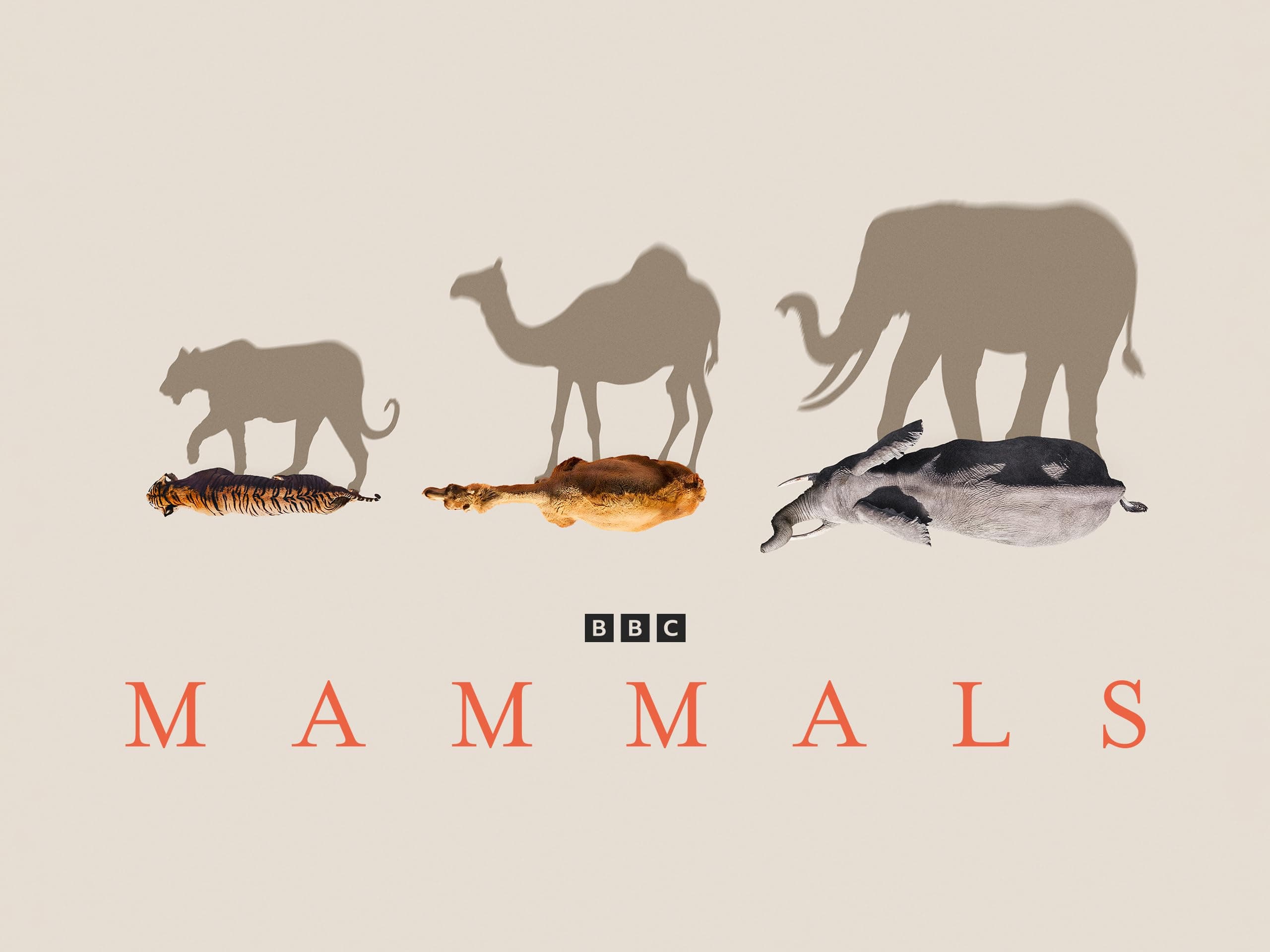 Planet Earth: Mammals, Season 1