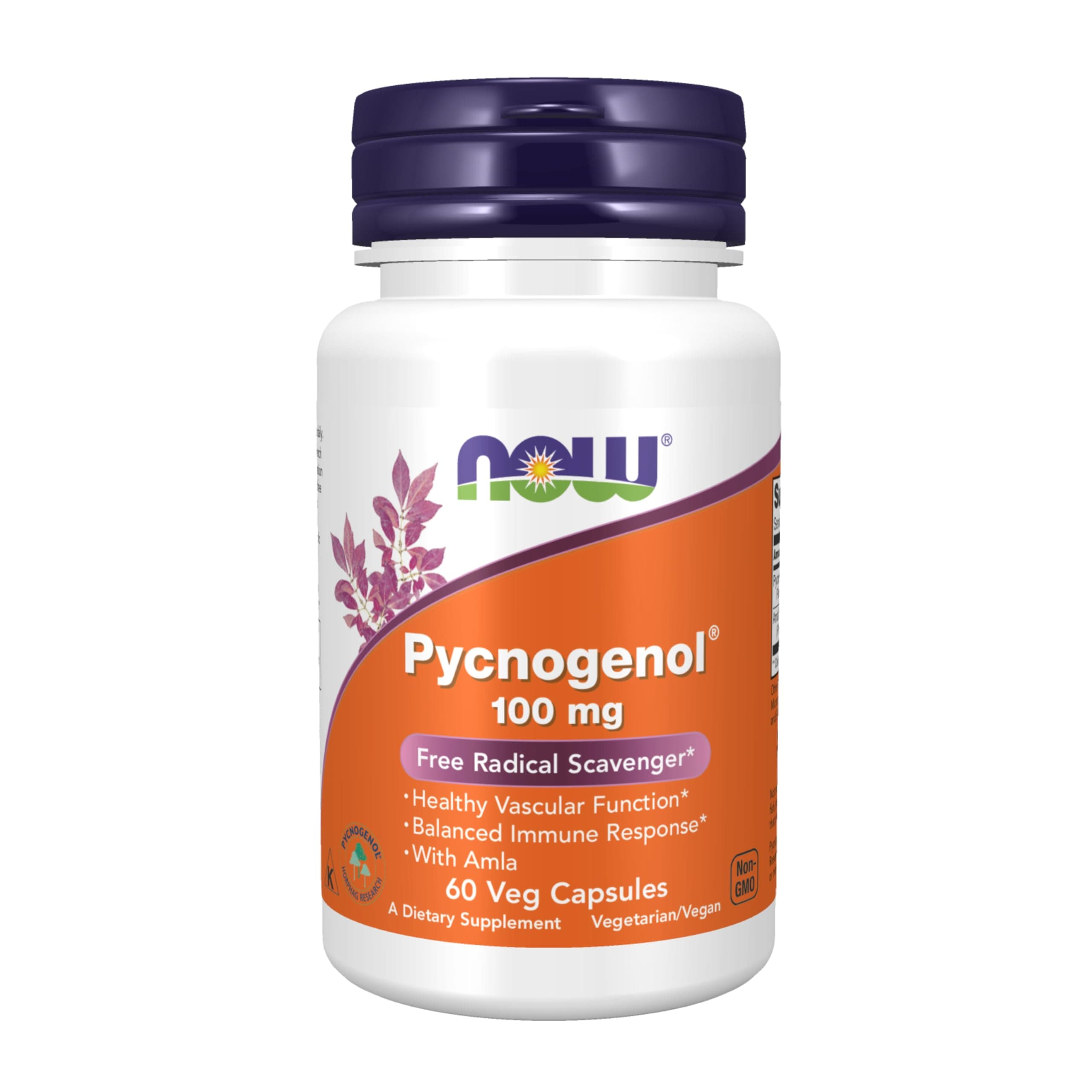 Pycnogenol Veg Capsules, 100 mg, 60 Count