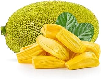 Whole Mexican Jackfruit 12kg -/+10% – Fresh, Naturally Sweet & Ripe Tropical Fruit, Perfect for Juicing, Vegan Cooking, Desserts & Exotic Dishes