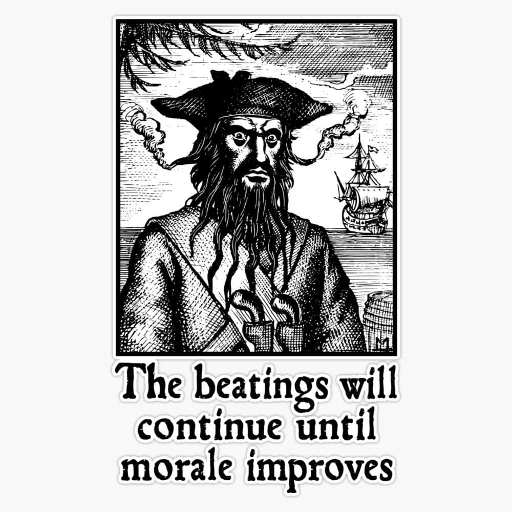 The Beatings Will Continue Until Morale Improves Vinyl Waterproof Sticker Decal Car Laptop Wall Window Bumper Sticker 5"