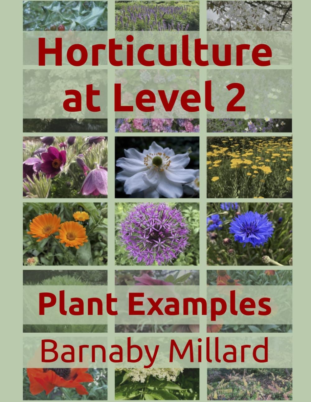 Horticulture at Level 2: Plant Examples (Horticulture at Level 2 for RHS courses)