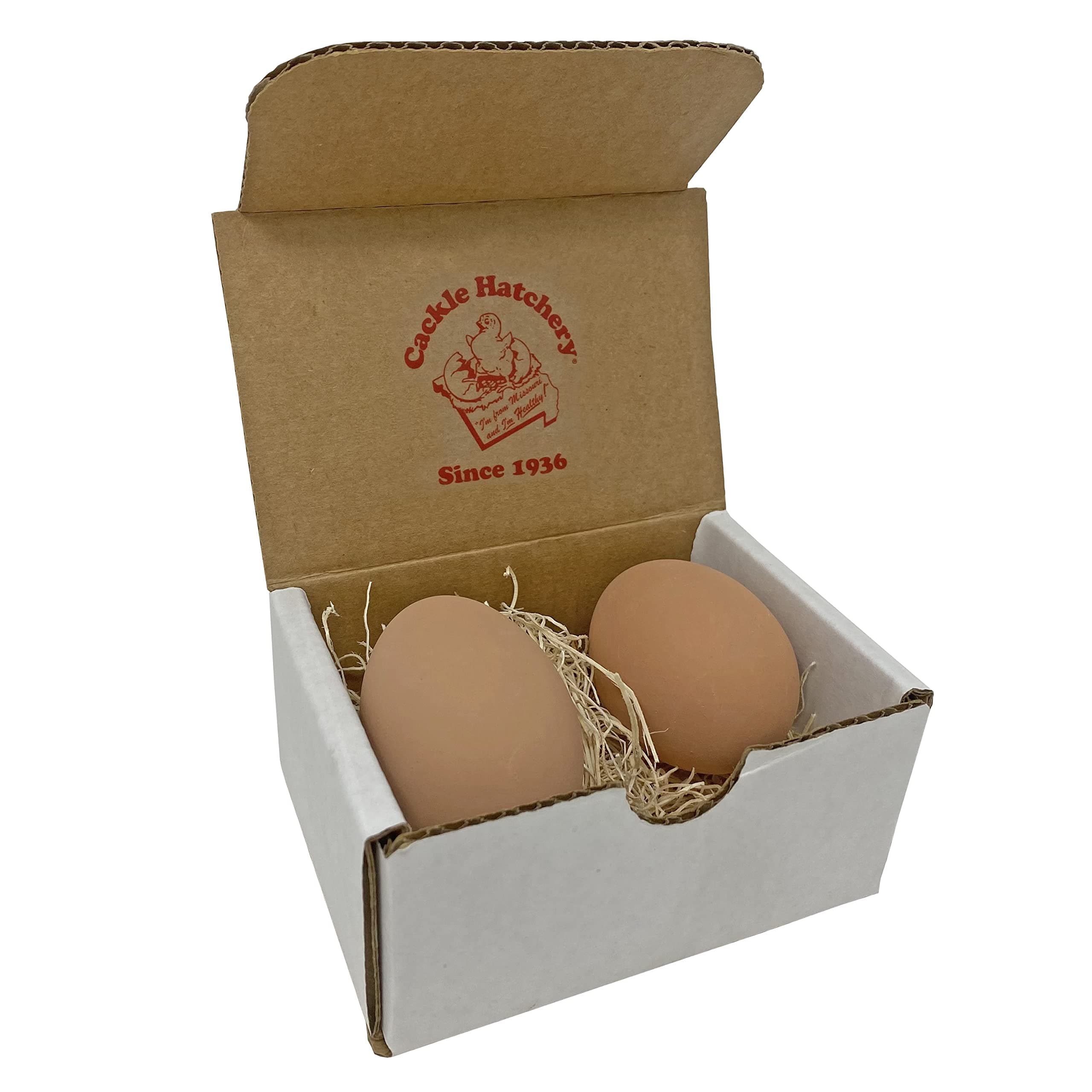 Cackle Hatchery Brown Ceramic Nest Eggs (2ct) - Chicken Egg Accessories