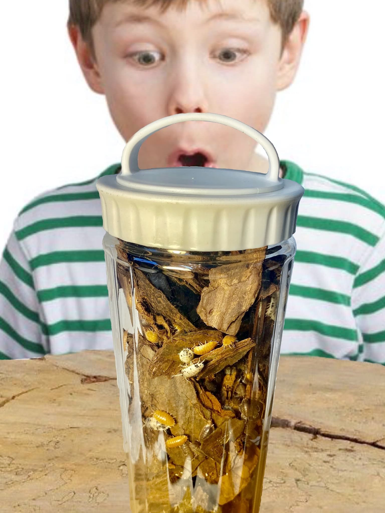 Roly Poly Farm Tower with Roly Poly Offer