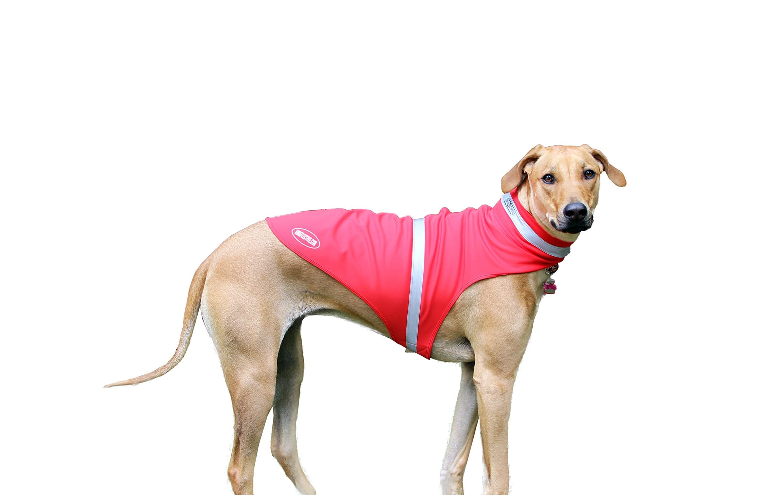 Game Trail Camera 1080P 12MP with Sound Scouting Camera with 2.4in LCD Screen No Glow Black Infrared Night Vision 0.5s Trigger Speed IP66 Waterproof for Wildlife Hunting Monitoring and Farm Security …