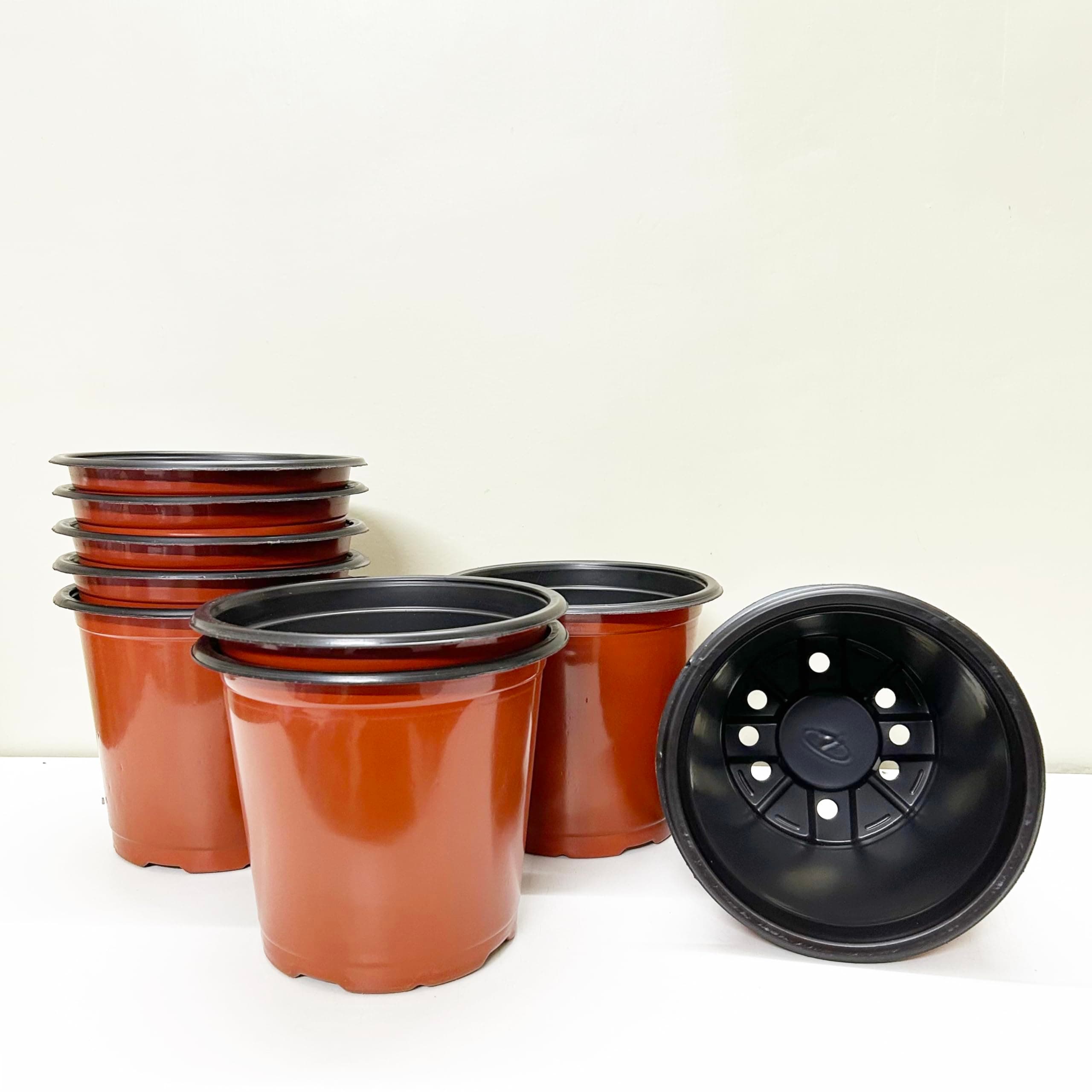 Sapling's World 5 inch Size Thermoform Plastic Flower Pots (Pack of 50) | Flexible & Unbreakable, Multiple Holes for Better Drainage, Best for Nursery, Terace & Indoor Plants