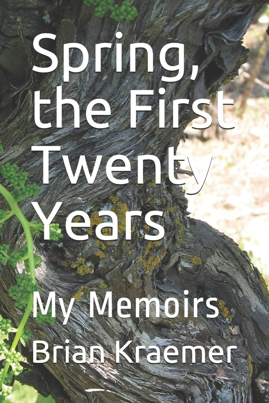 Spring, the First Twenty Years: My Memoirs